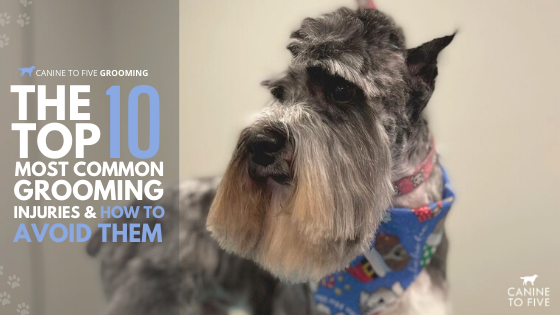 Make Grooming Easier for Your Dog – 7 Tips From Pet Groomers
