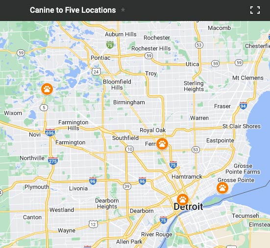 Canine to Five locations - Midtown Detroit, Eastside Detroit, Ferndale and Commerce Township. Click to view our locations page.