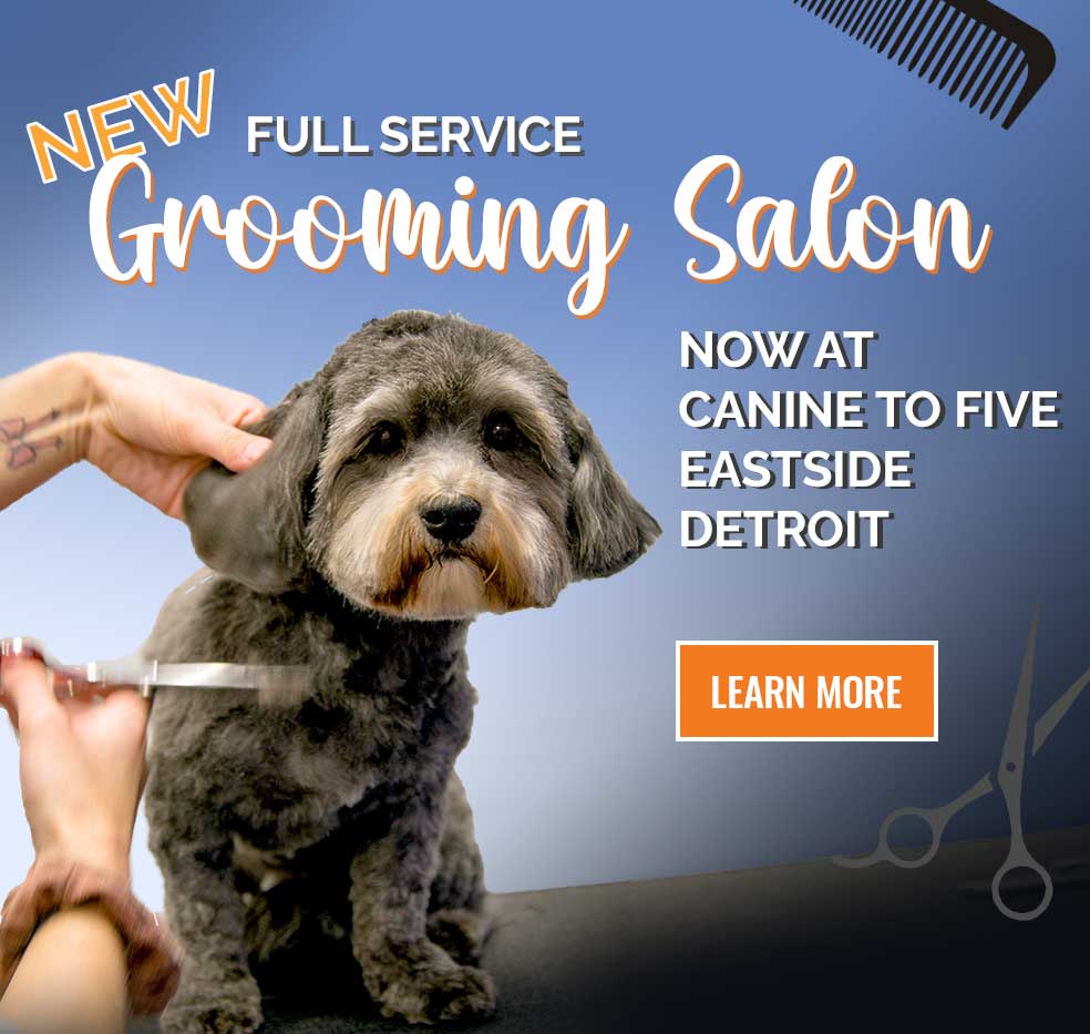 New Full Service Grooming Salon now at Canine to Five Eastside Detroit. Learn More!